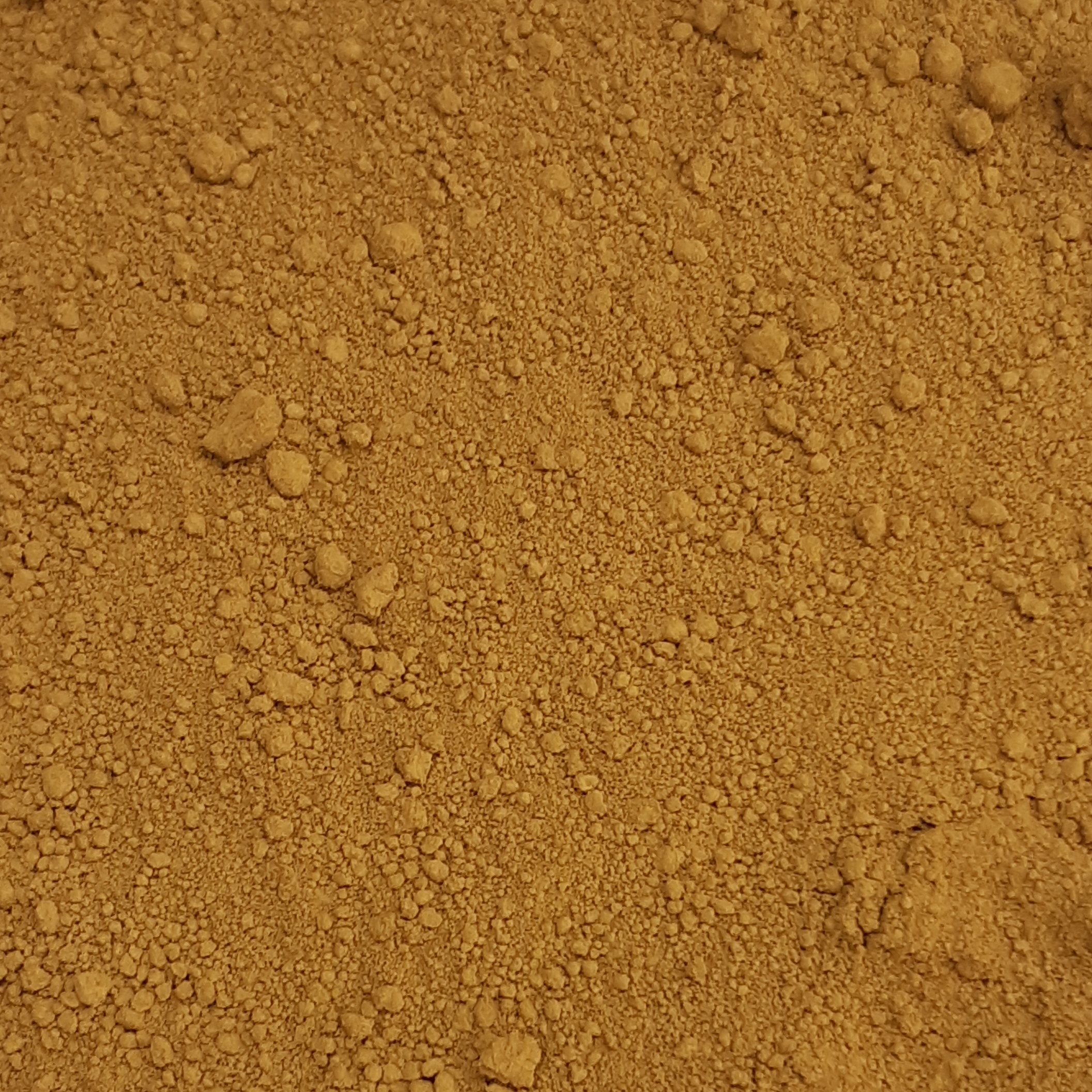 586525 nature yellow groot