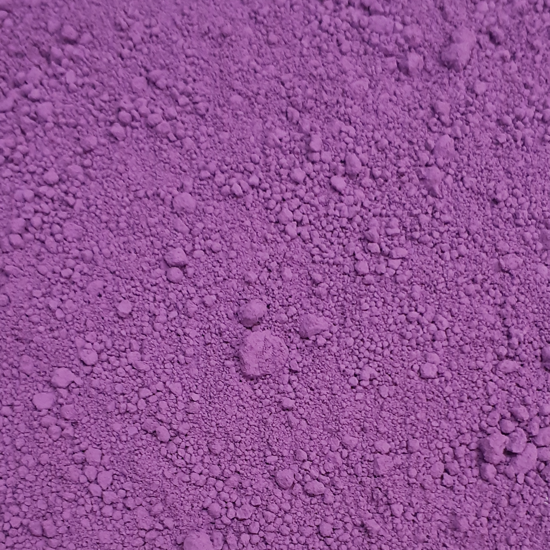 586535 carmine violet groot