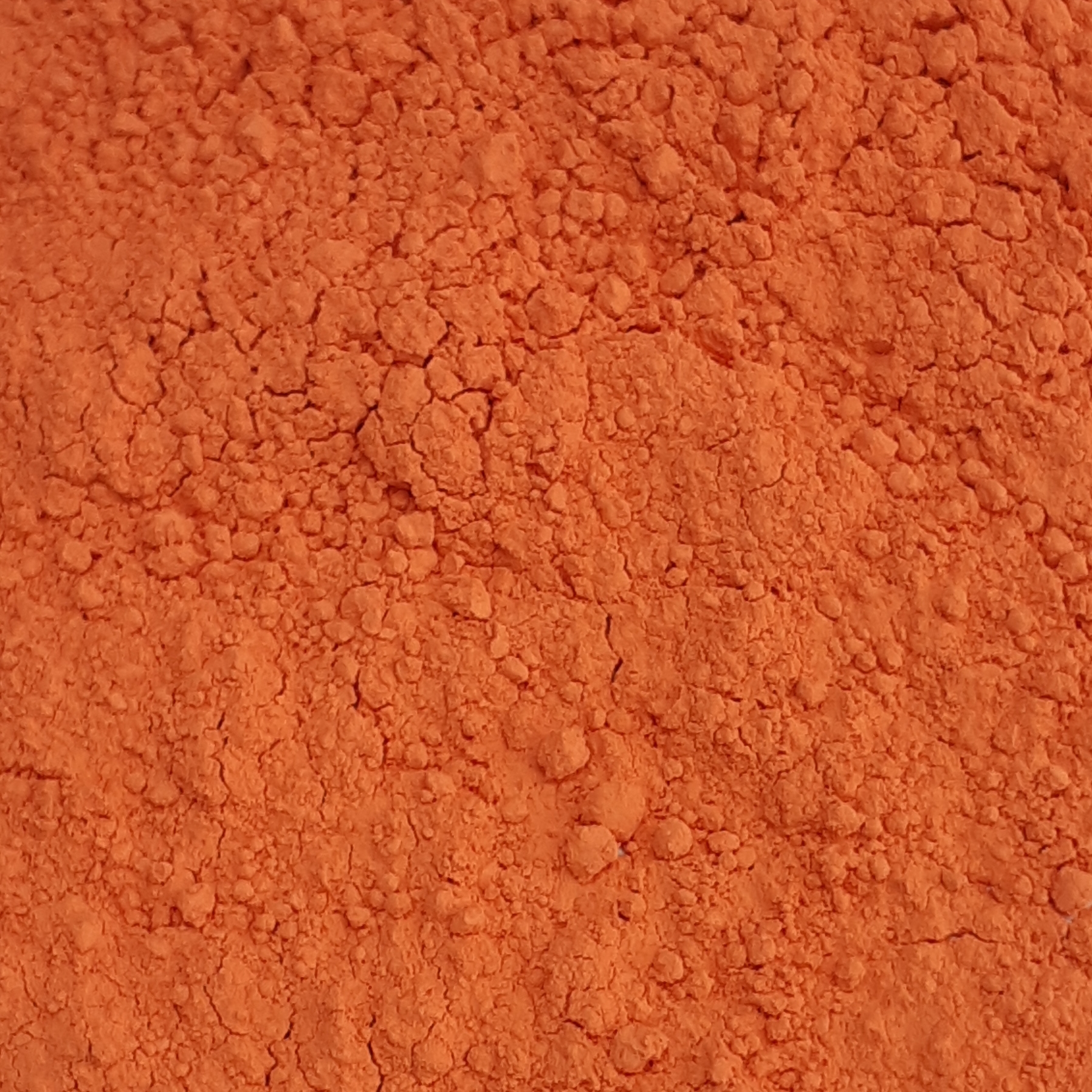 586581 coral groot