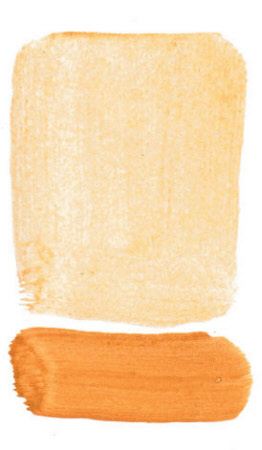 586525 nature yellow